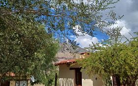 Cactus y Almacen - Purmamarca